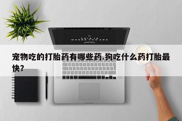 息隐紫竹打胎药流产药宠物吃的打胎药有哪些药.狗吃什么药打胎最快？
