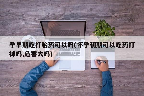 息隐紫竹打胎药流产药孕早期吃打胎药可以吗(怀孕初期可以吃药打掉吗,危害大吗)