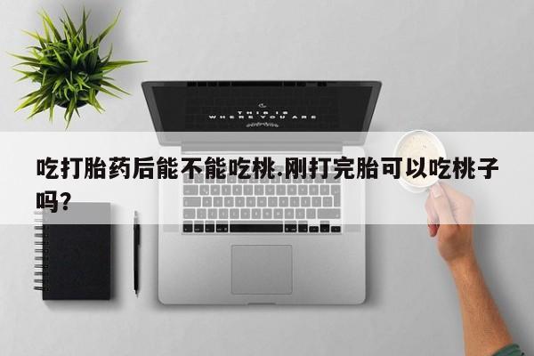 息隐紫竹打胎药流产药吃打胎药后能不能吃桃.刚打完胎可以吃桃子吗?